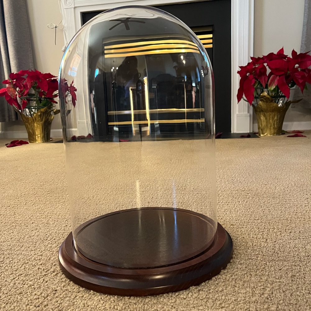 Glass Display Dome with Wooden Base